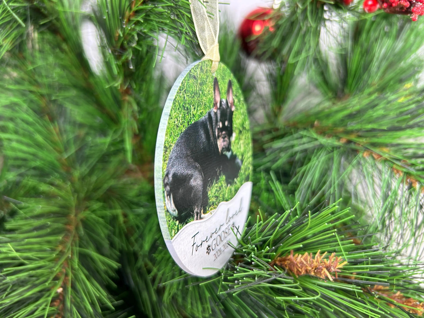 Custom Dog Photo Memorial Ornament, Pet Memorial Photo, Pet Loss Gift, Christmas Dog Cat, Forever In Our Hearts, Keepsake Gifts for Pet